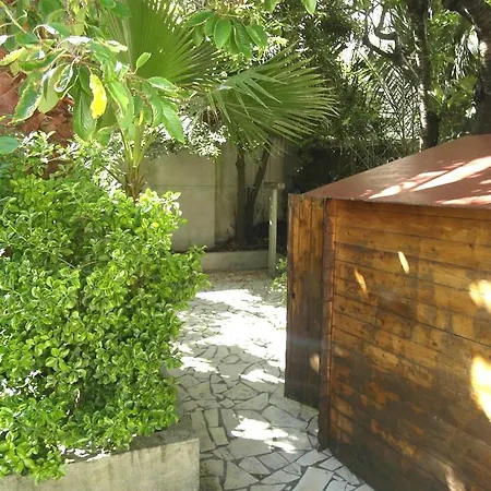 Joli T3 Centre Avec Terrasse- B9481